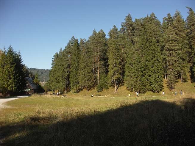 img00079.jpg